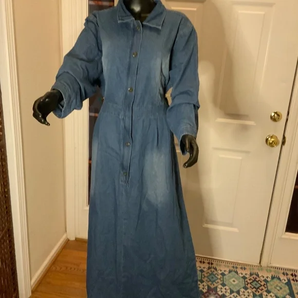 Ursime Denim Maxi Dress - Picture 1 of 9